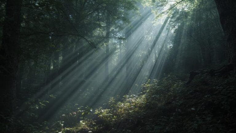 accidental supernatural stories