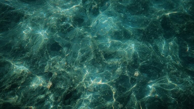 aquarius independent nature