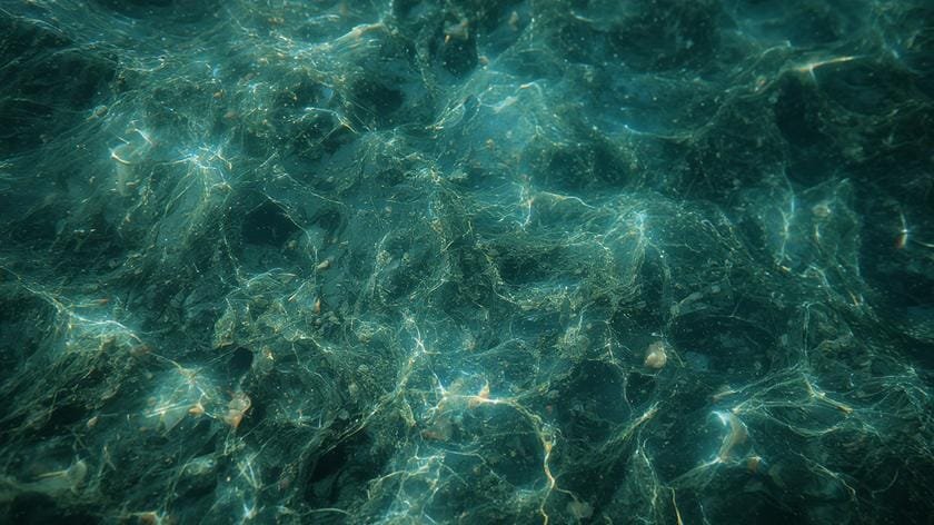 aquarius independent nature