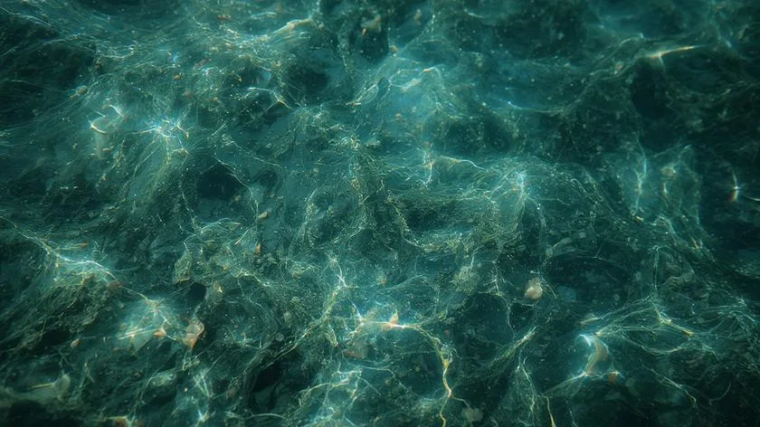 aquarius independent nature overview