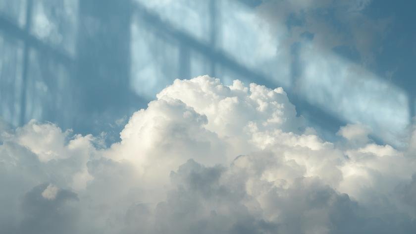 dream about Amazon sales dream overview