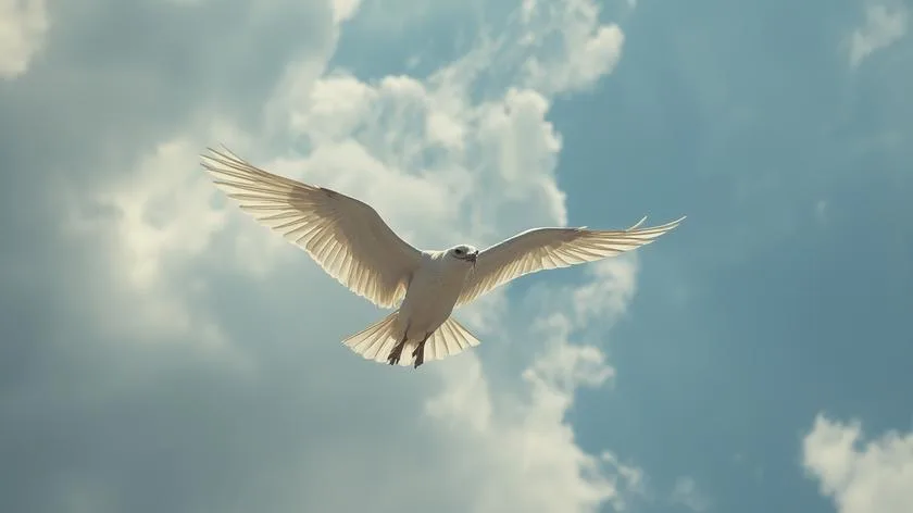 flying dream meaning cultural psychology overview