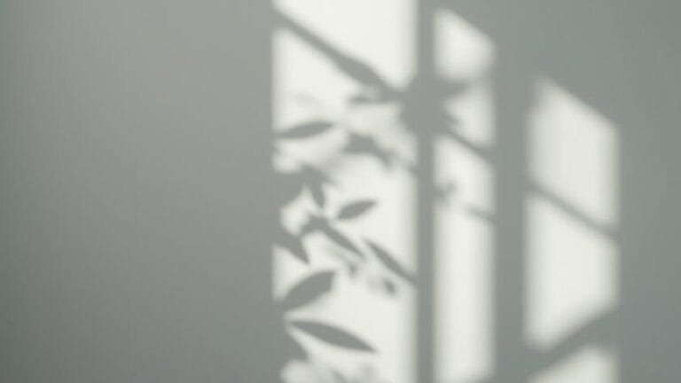 mental health for beginners