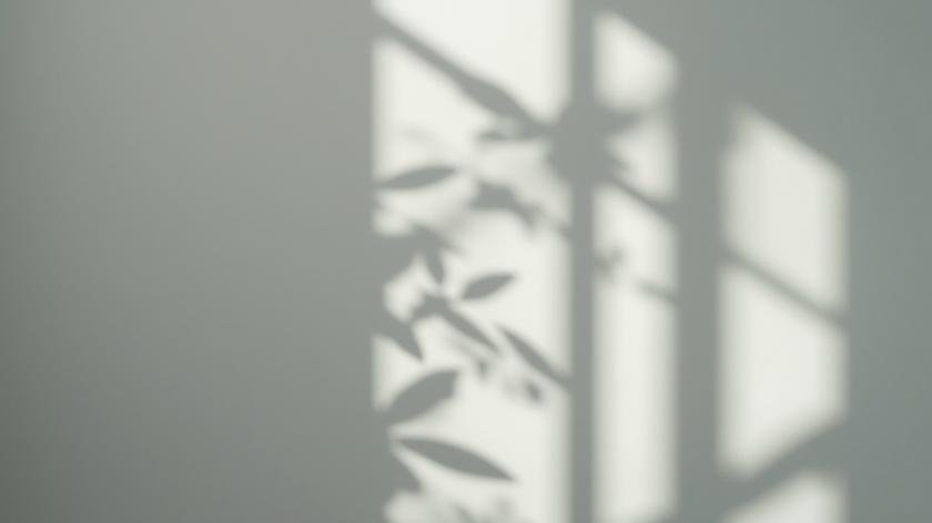 mental health for beginners