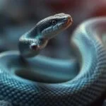 snake dream meaning change