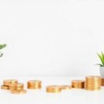 credit repair basics practical financial stability