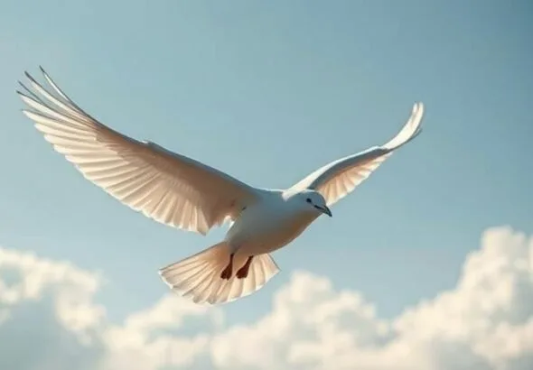 dreams about flying symbolic spiritual meaning
