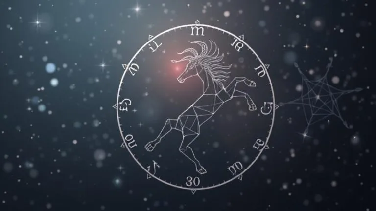 year of the zodiac in detail guide